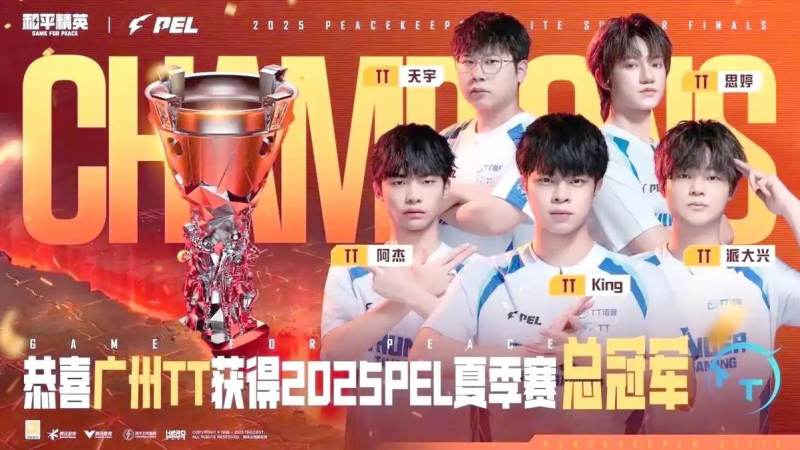 和平精英PEL联赛是什么级别赛事，参赛队伍与赛制规则怎么理解